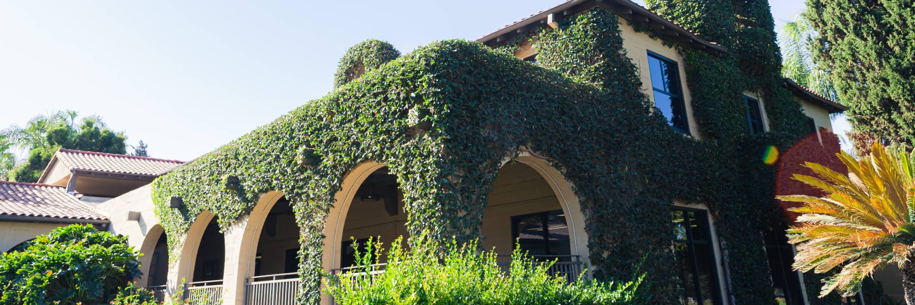 College of Behavioral and Social Sciences