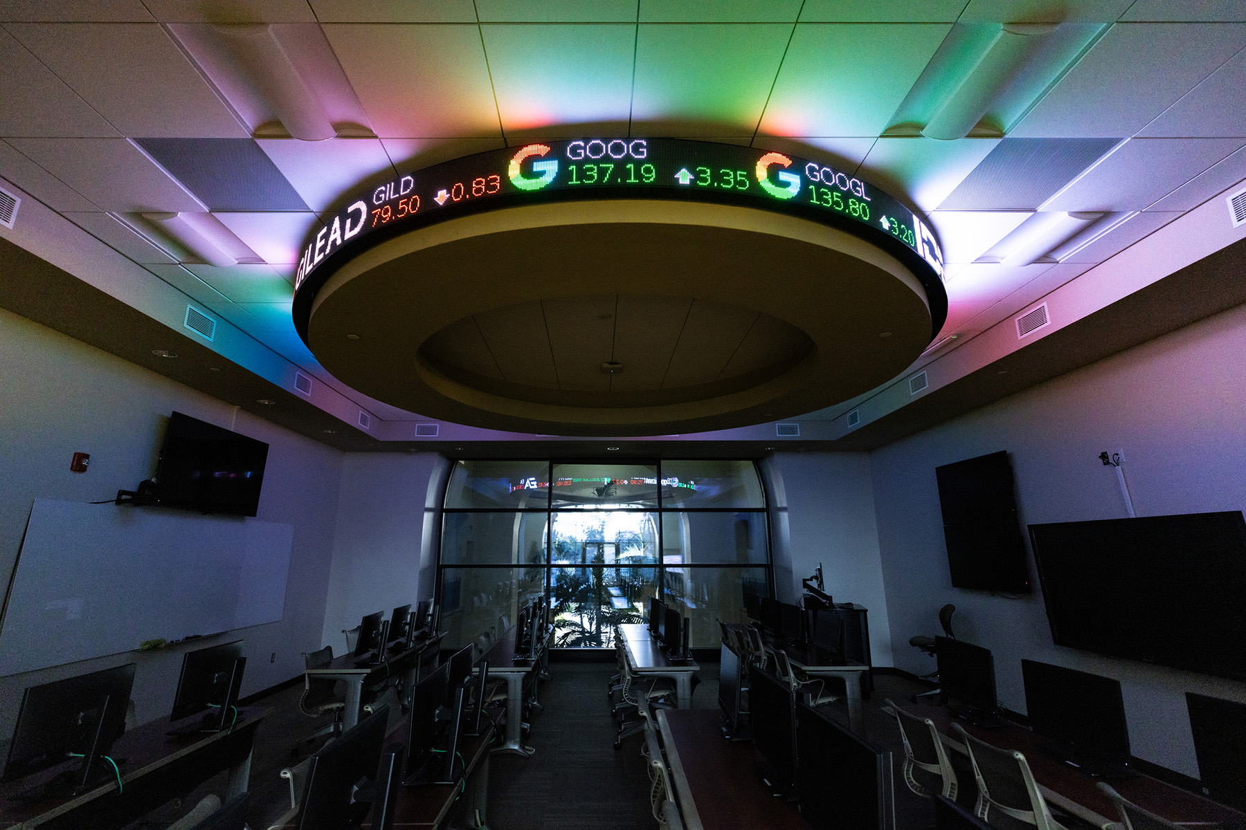 STEM student studying