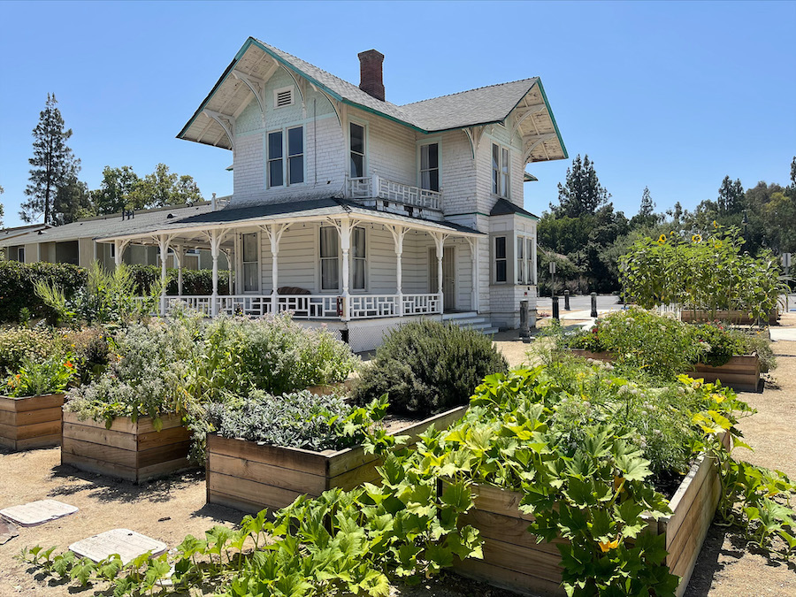 California Baptist University’s campus is home to a hidden gem. Tucked away behind the Colony apartments that house junior and senior students is a garden blooming with life. 