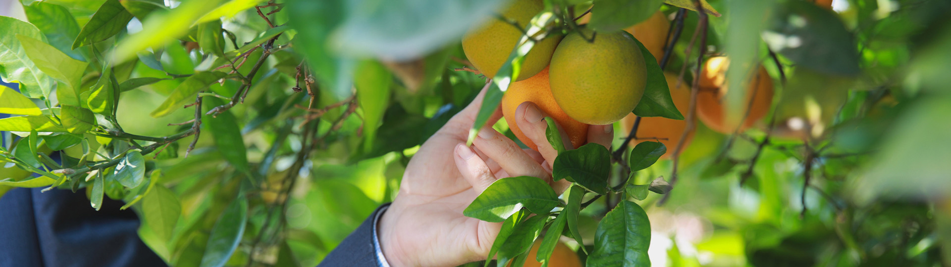 environmental science