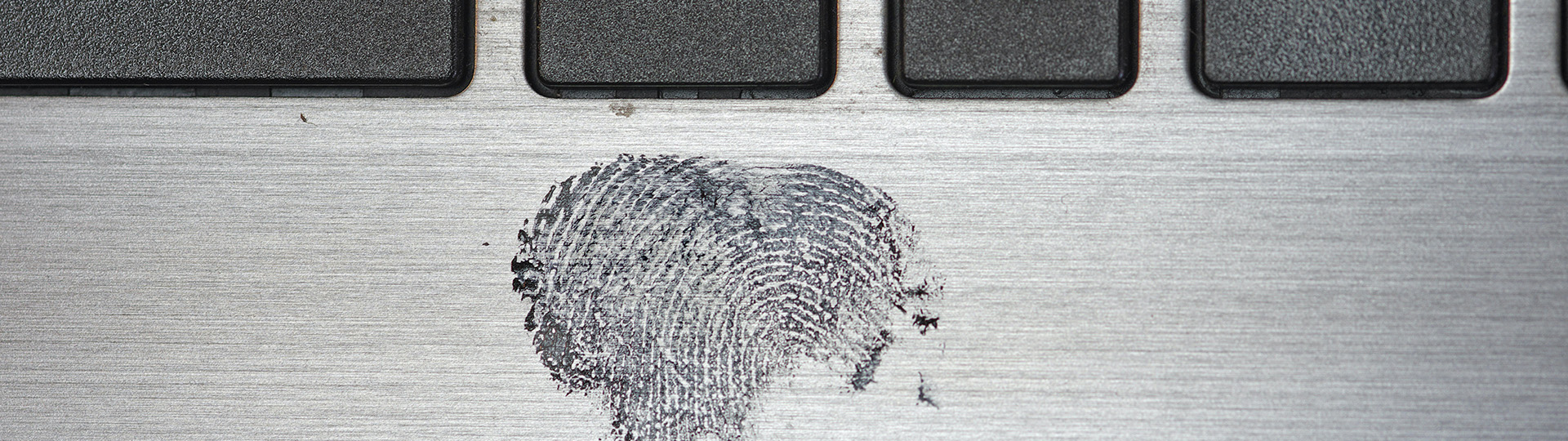 fingerprint