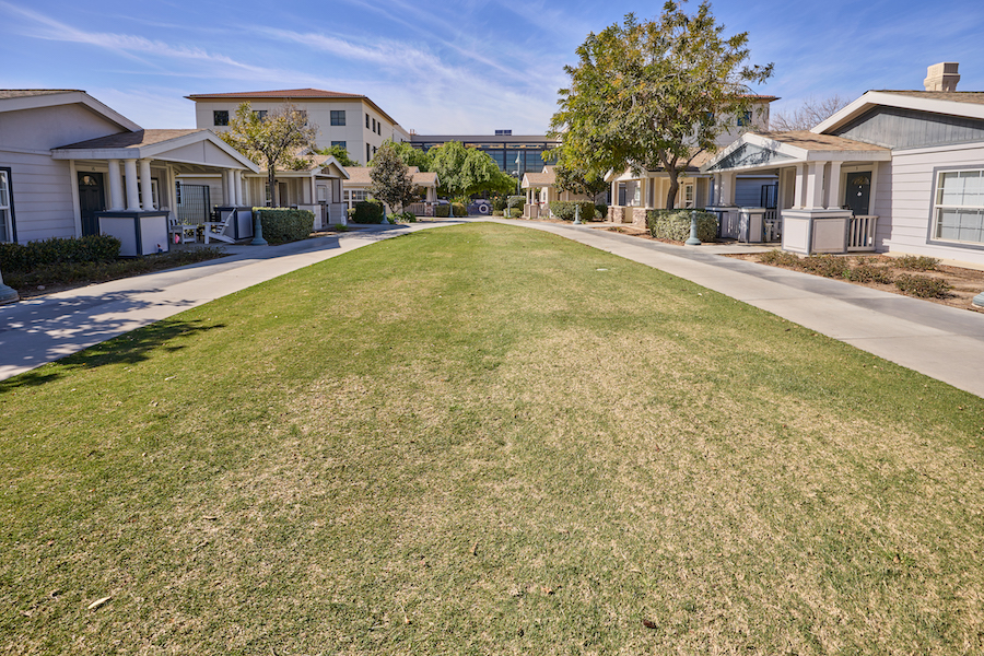 grass outside the cottages