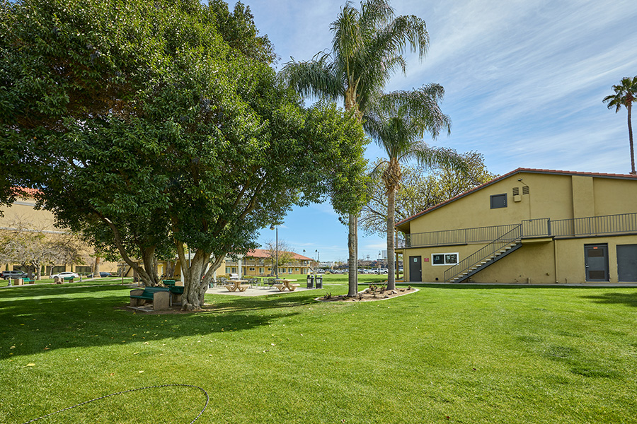 Lancer Arms Exterior