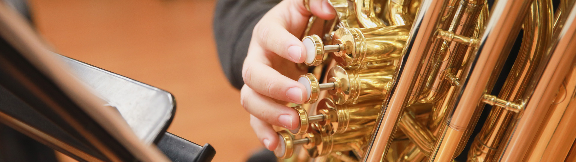 CBU Student playing instrument