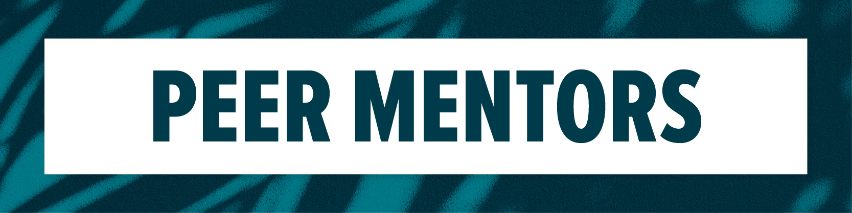 Peer Mentors
